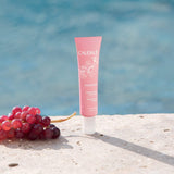 CREMA SORBETE VINOSOURCE