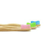 PACK 3 CEPILLOS ADULTO - ROSA, VERDE Y AZUL / BRUSHBOO